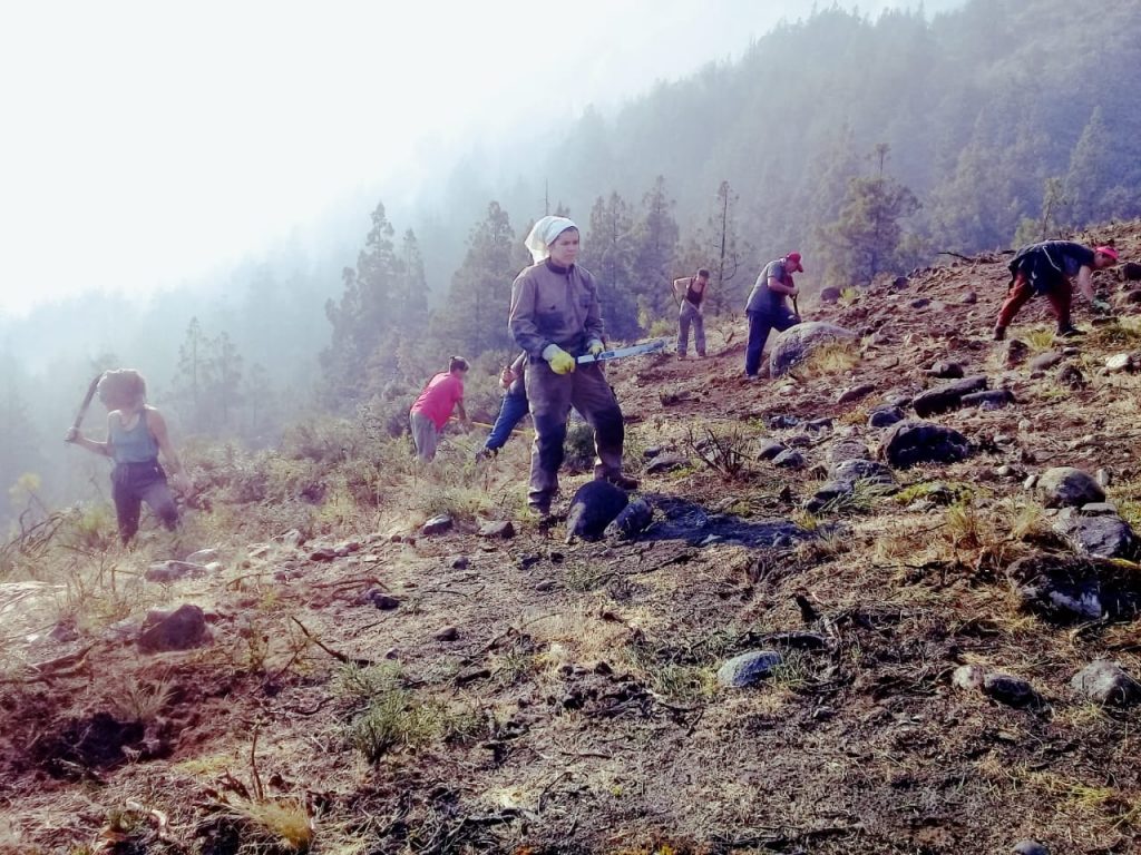 Incendios en El Bolsón Las comunidades mapuches son las más afectadas