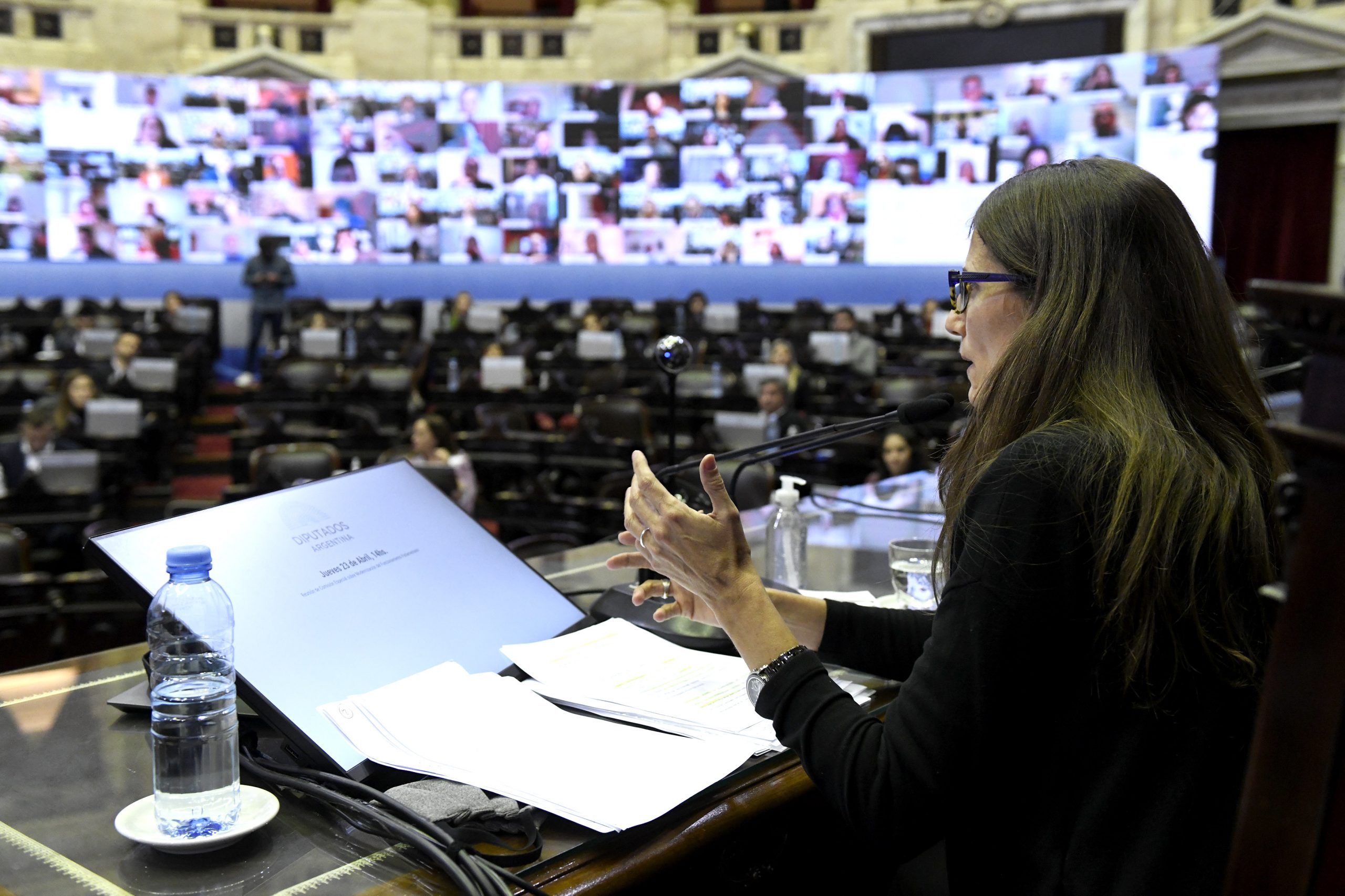 Capacitación en género en Diputados: “Cuando hablamos de todes es centralmente un hecho político”